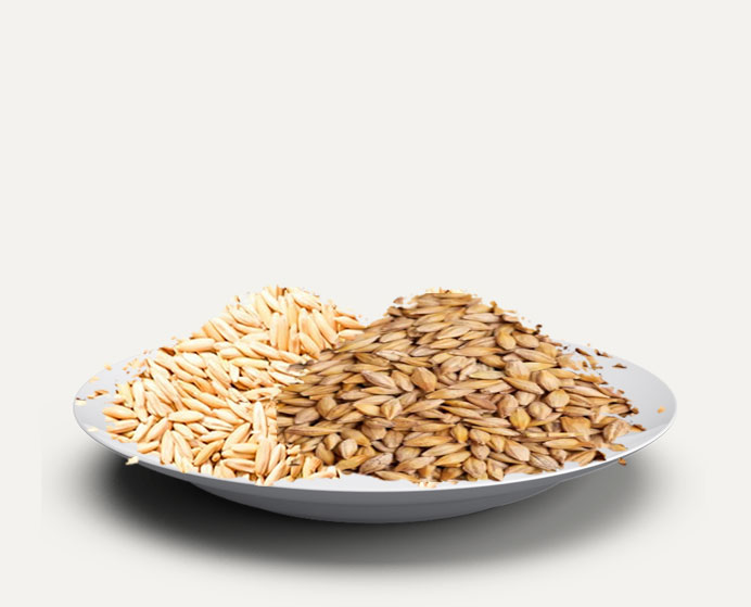 Oat & Barley 