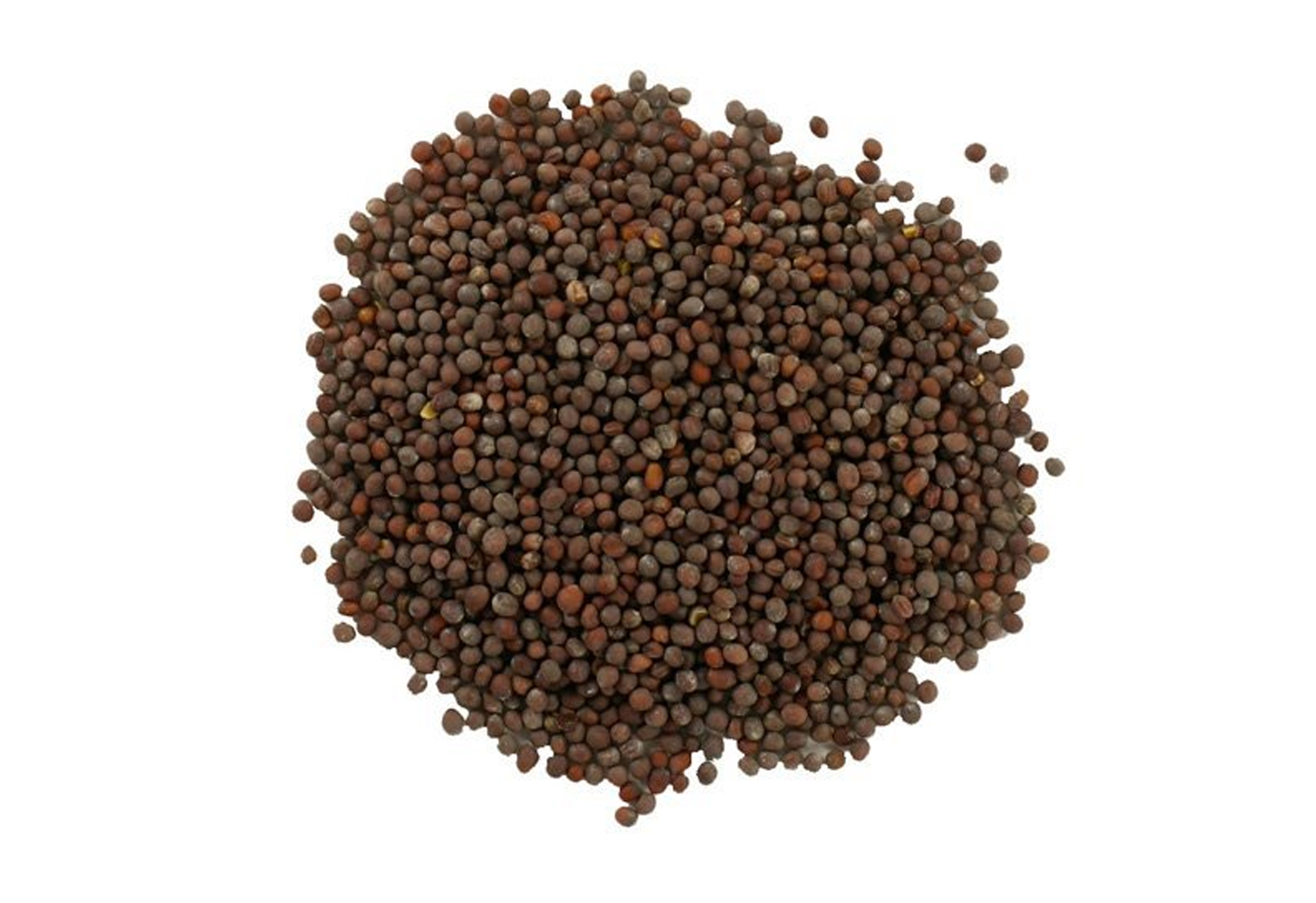 Brown Mustard Seed