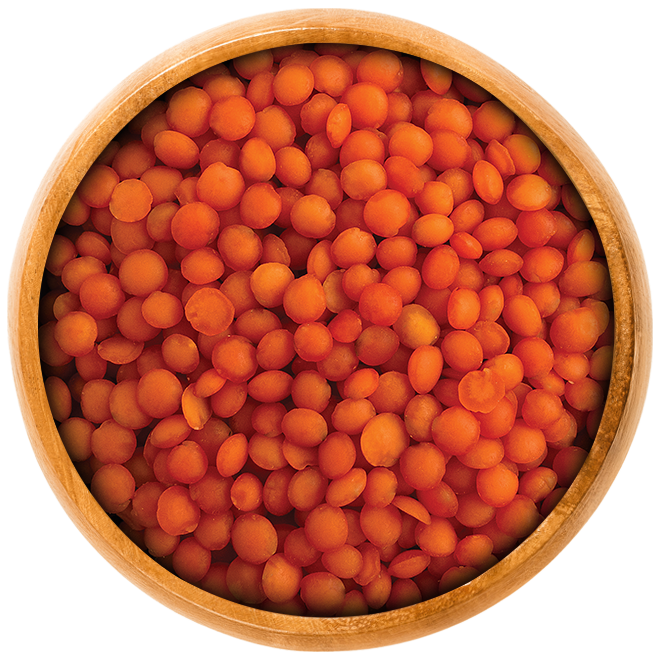 Red-Football-Lentils