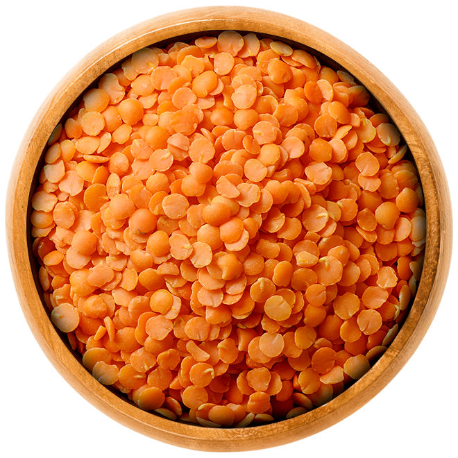 Red-Split-Lentils